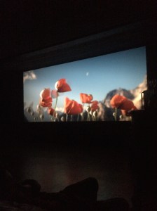 Animatou 2014 coquelicots